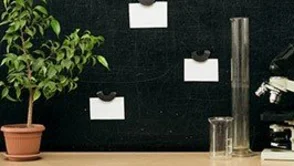 magnetisch - Magnetische Spezialtapete als Ordnungssystem oder Gestaltungselement.