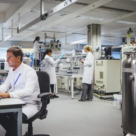 Medizinische Wissenschaft, Mitarbeiter bei der Arbeit in einem Labor - Stock-Fotografie - Medizinische Wissenschaft, Mitarbeiter bei der Arbeit in einem Labor - Stock-Fotografie