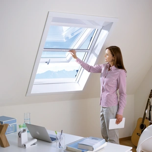 Dachfenster