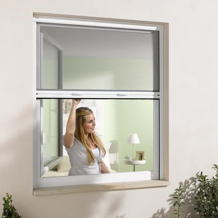Fenster